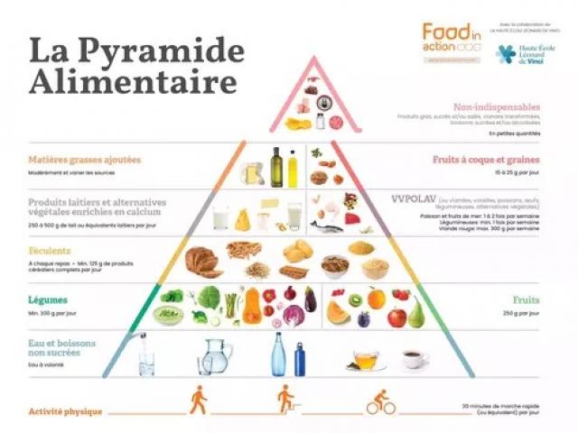 Pyramide alimentaire : les secrets d’une assiette équilibrée et gourmande